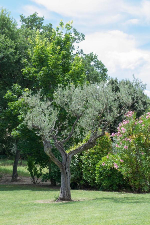Le Bouquet De L Aromate Bed & Breakfast Joucas Exterior foto